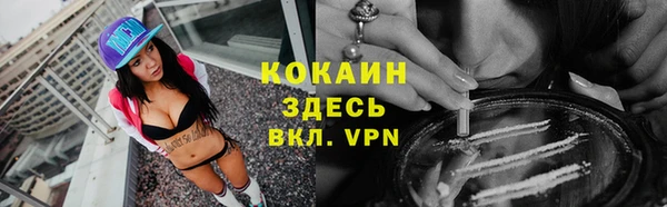 стаф Алзамай