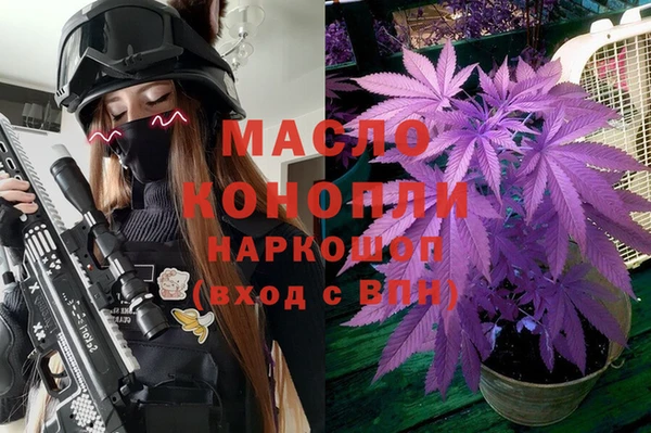 стаф Алзамай